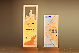 918博天堂官网国际一举斩获“2024年度中国区最佳雇主”等多项大奖