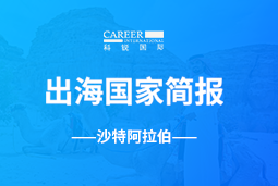 918博天堂官网GO GLOBAL | 沙特阿拉伯国家简报